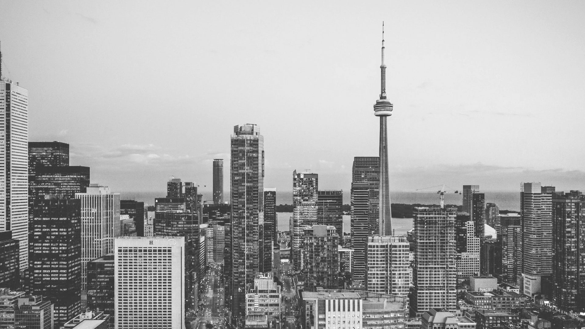 Ecommerce Solution Al Ain